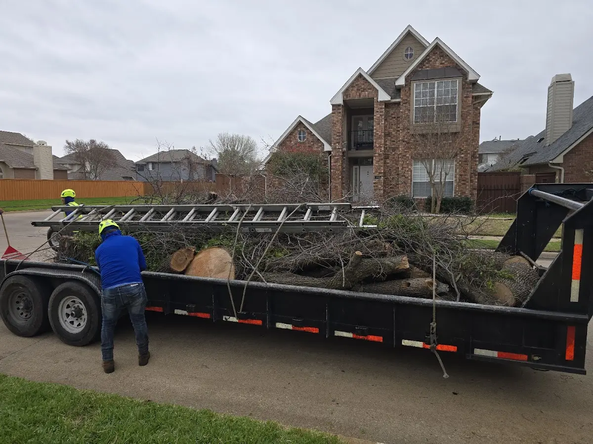 Expert Tree Fertilization with proper safety equipment in Inglis